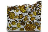 Fukang Pallasite ( g) Slice - Queen Of The Pallasites! #308274-2